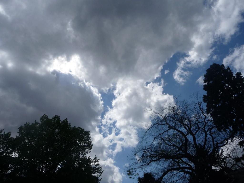 Fonds d'cran Nature Ciel - Nuages des arbres bien nuageux