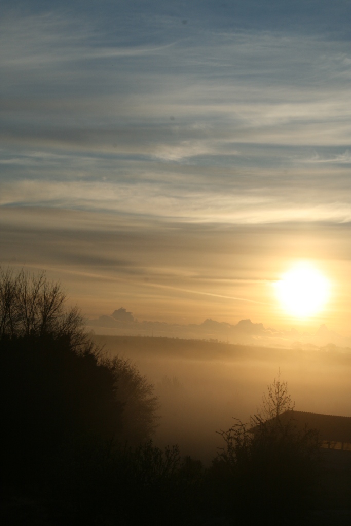 Fonds d'cran Nature Couchers et levers de Soleil douceur matinale