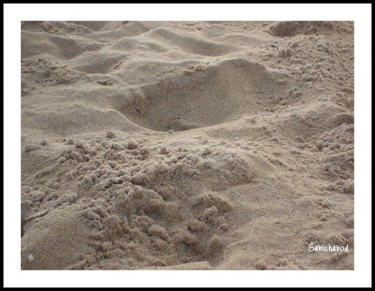 Fonds d'cran Nature Roches - Pierres - Sables Traces