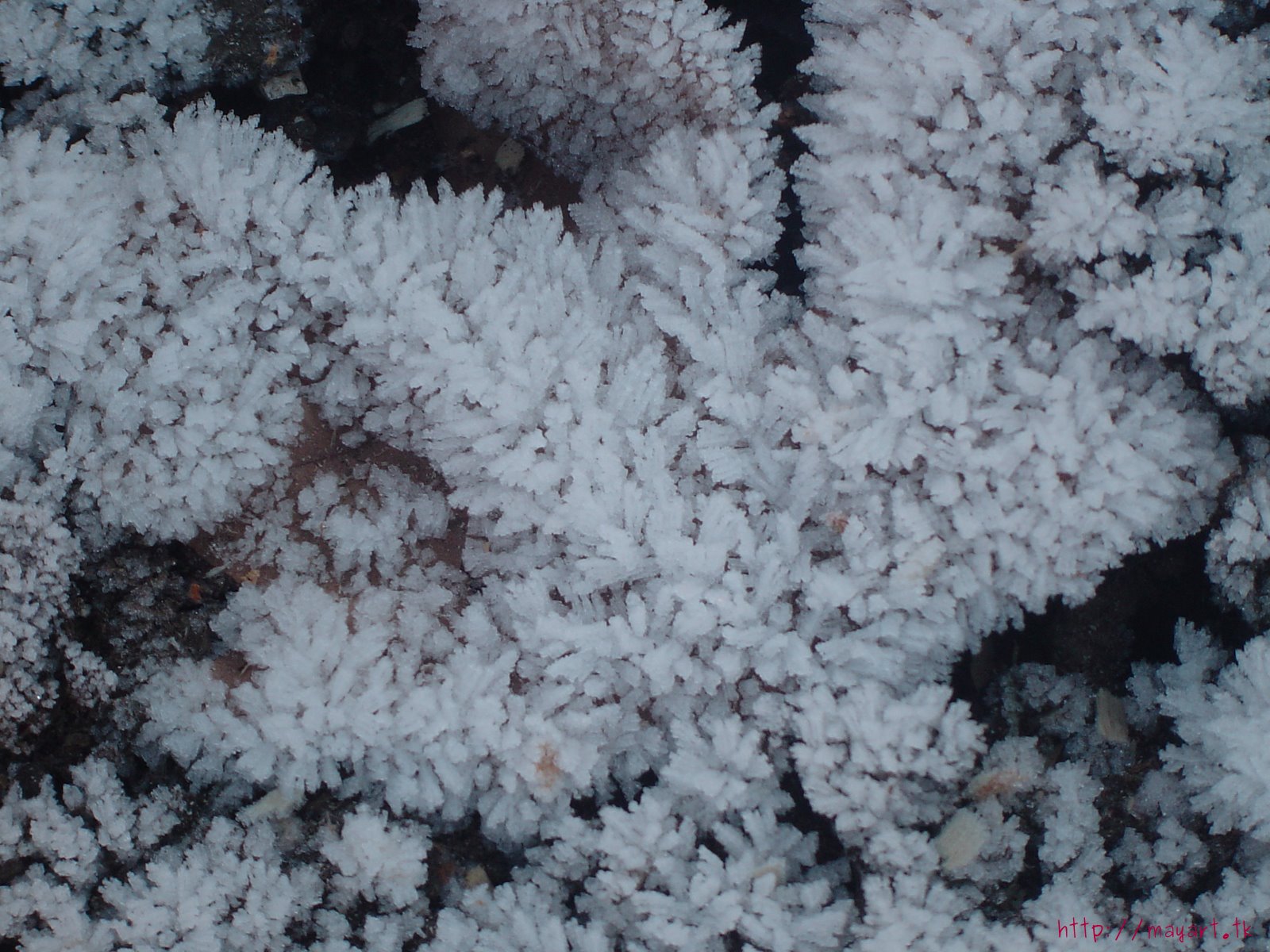 Fonds d'cran Nature Saisons - Hiver 