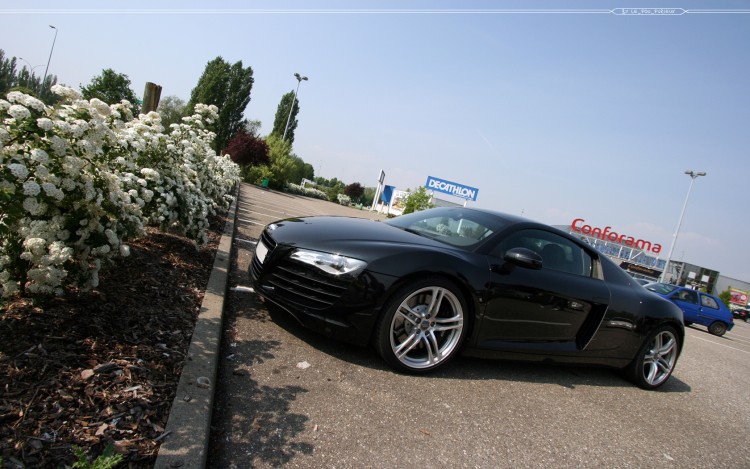 Fonds d'cran Voitures Audi Audi R8