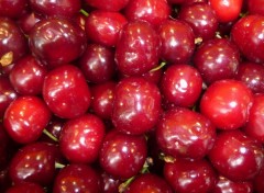 Wallpapers Nature le temps des cerises 