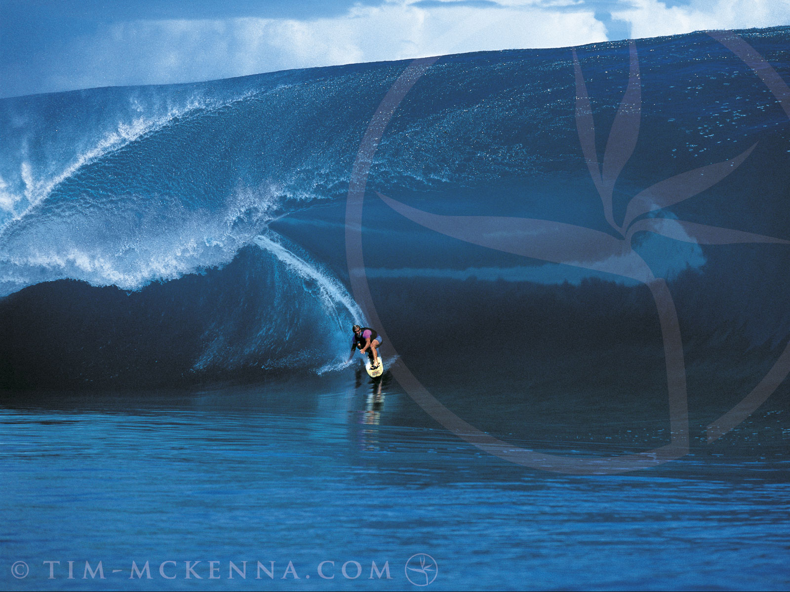 Fonds d'cran Sports - Loisirs Surf 