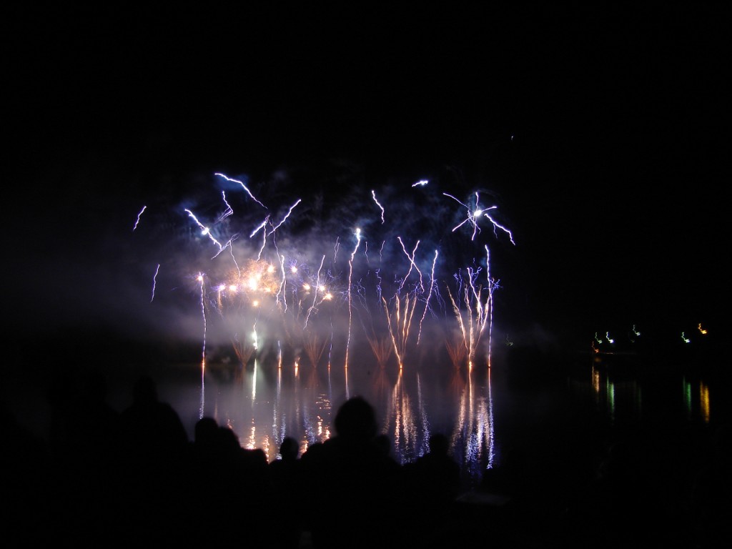 Fonds d'cran Hommes - Evnements Feux d'Artifice Zbrures de ciel