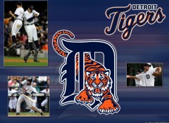 Wallpapers Sports - Leisures Dtroit Tigers