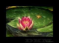 Wallpapers Digital Art waterlily