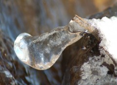 Fonds d'cran Nature goutte gele