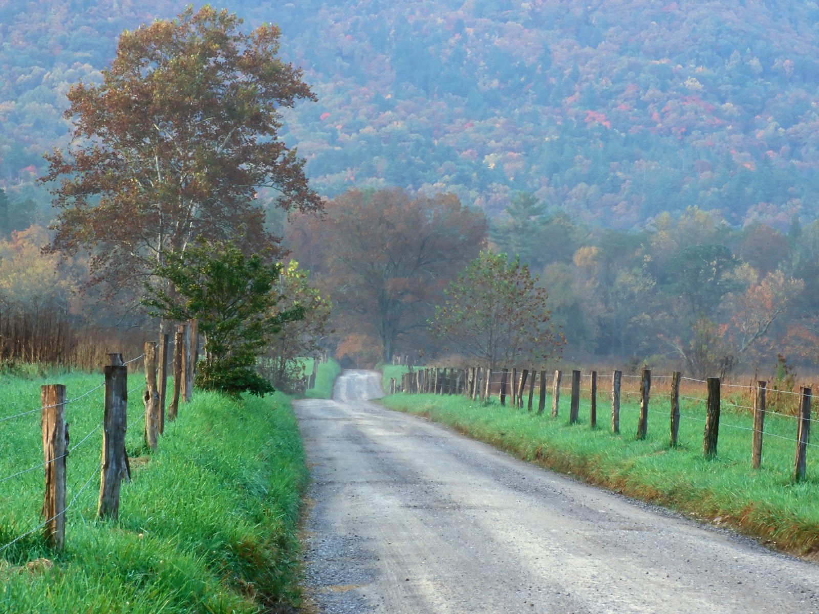 Fonds d'cran Nature Campagne Route