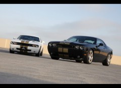 Fonds d'cran Voitures Dodge-Challenger