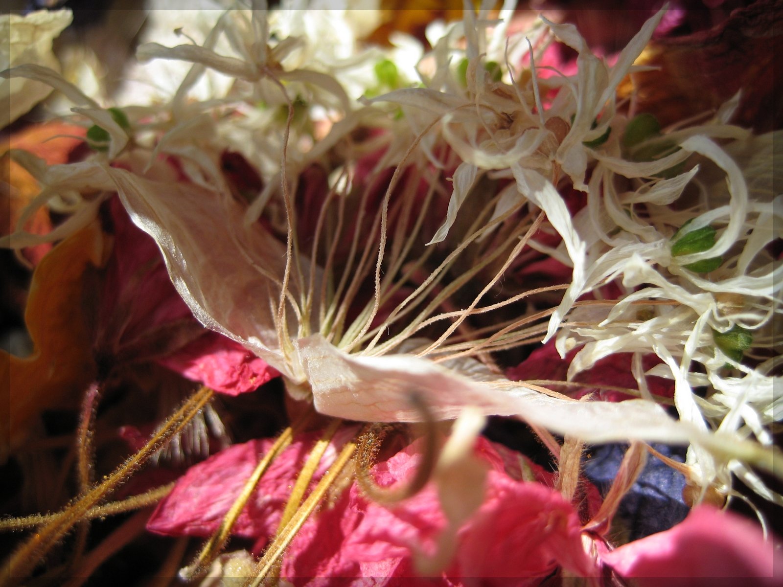 Fonds d'cran Nature Fleurs Pot pourri