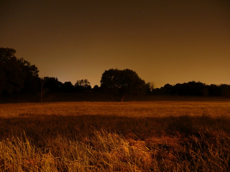 Wallpapers Nature Fields Savane Urbaine