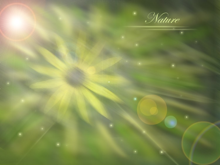 Wallpapers Digital Art Nature - Flowers Nature