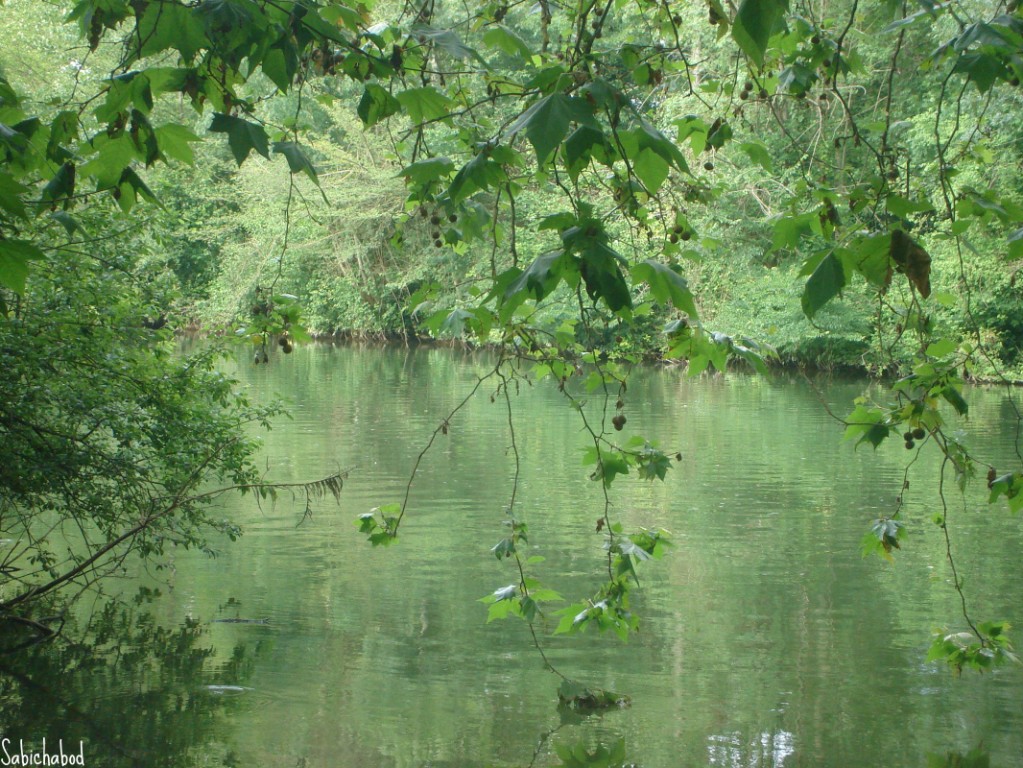 Fonds d'cran Nature Fleuves - Rivires - Torrents Rideaux !