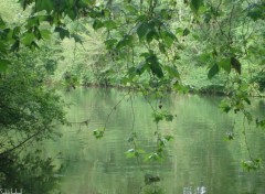 Fonds d'cran Nature Rideaux !