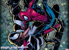 Fonds d'cran Comics et BDs spider man