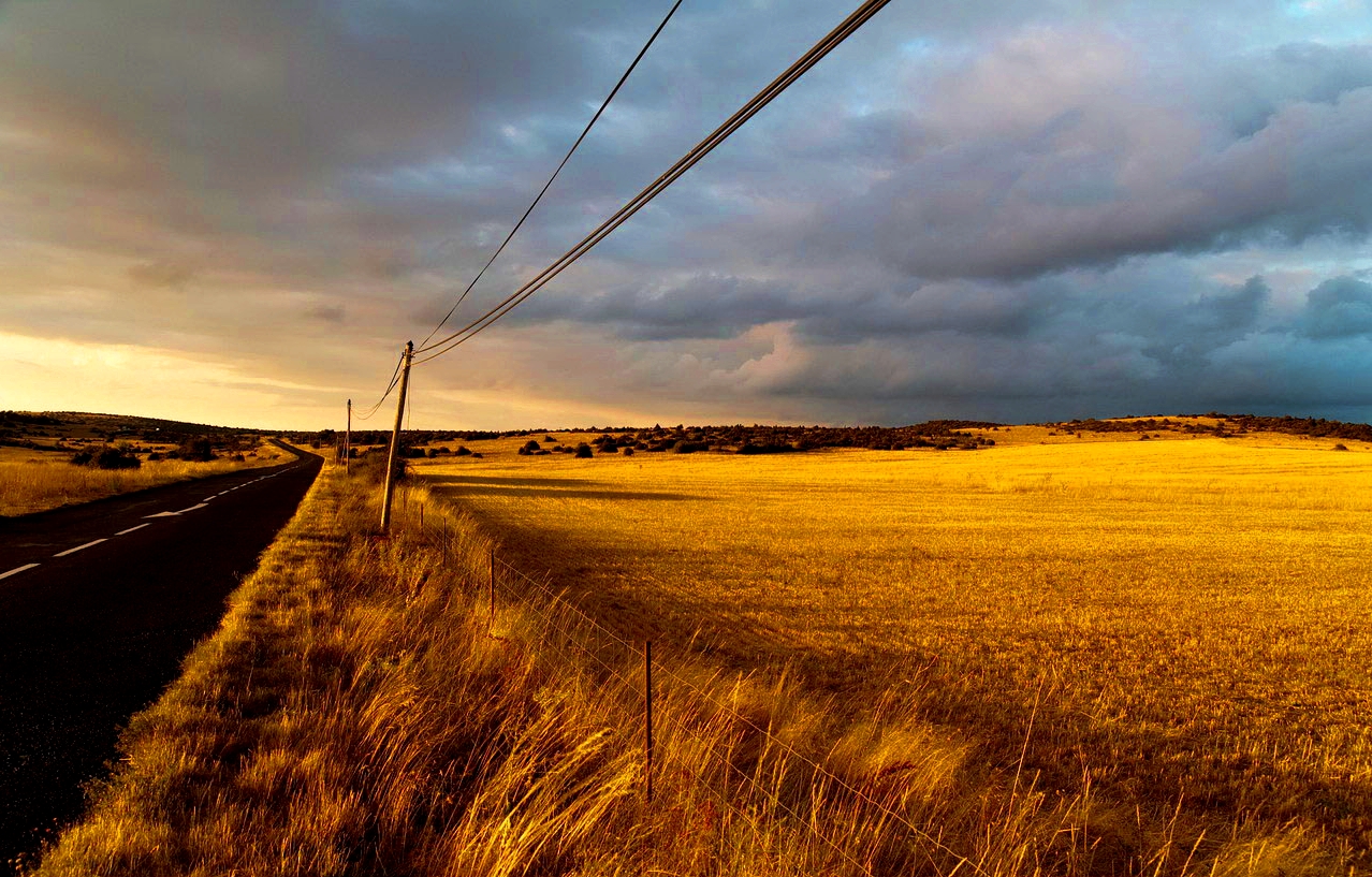 Fonds d'cran Nature Champs - Prairies 