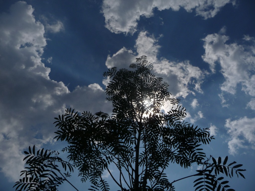 Wallpapers Nature Skies - Clouds  l'ombre ds nuages