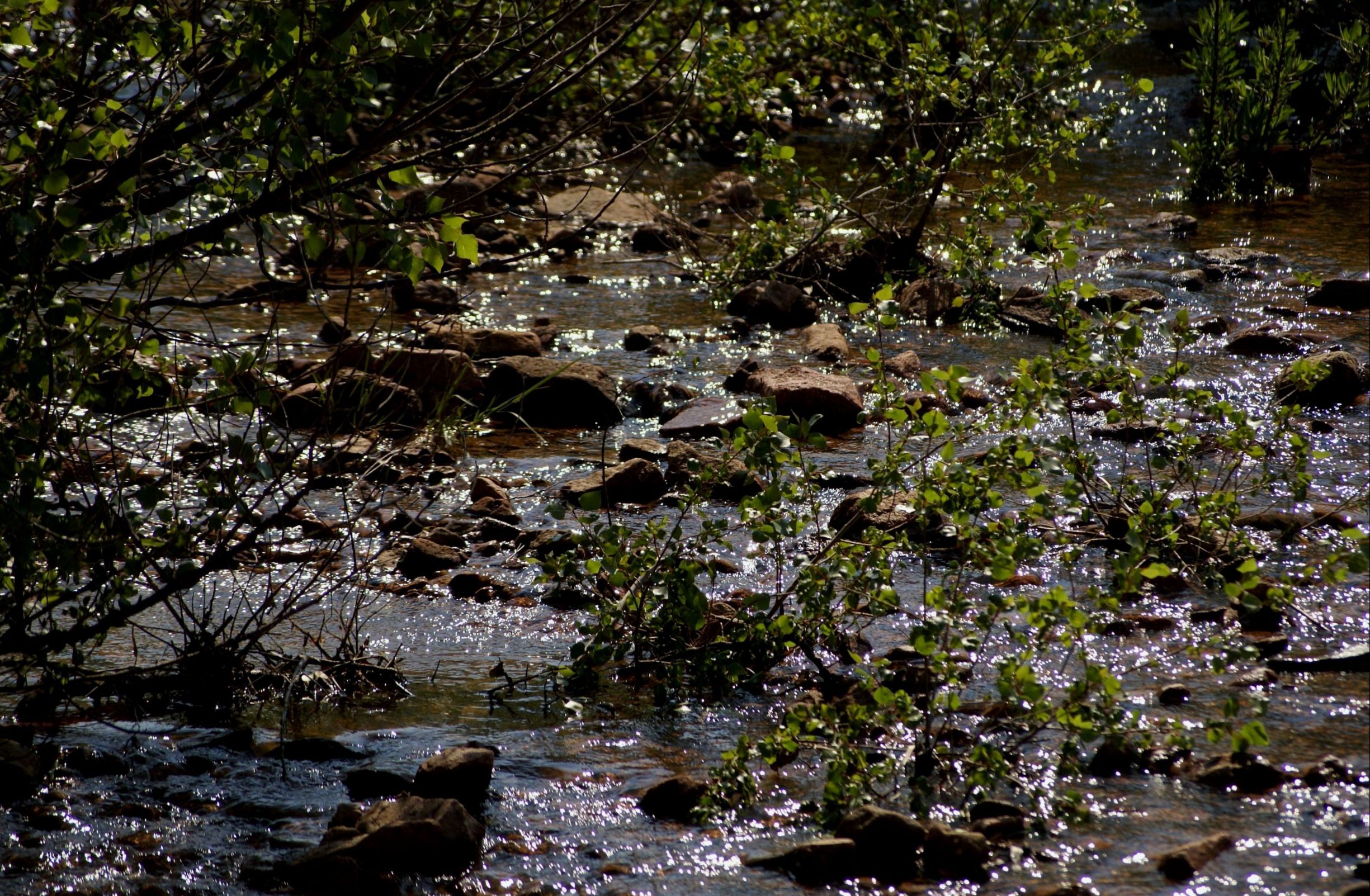 Fonds d'cran Nature Eau Inondation naturelle