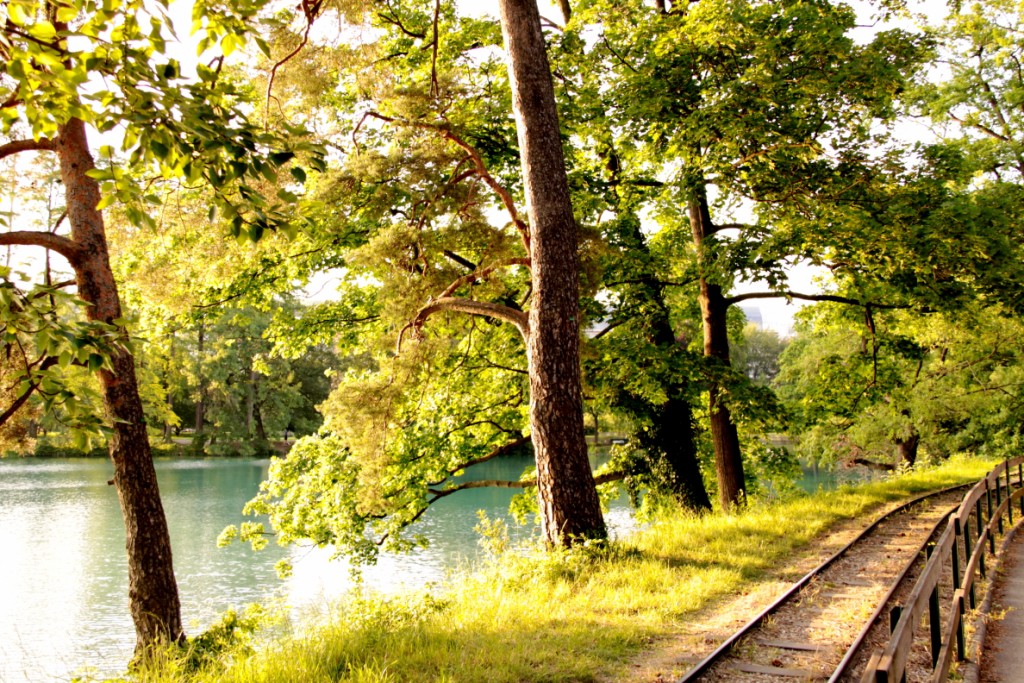 Fonds d'cran Nature Arbres - Forts une petite promenade en train ?