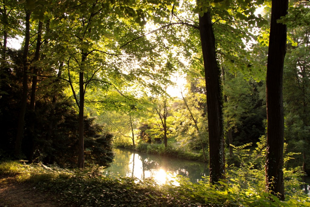 Fonds d'cran Nature Arbres - Forts une lumire divine luit sur le lac