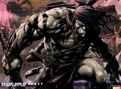 Wallpapers Comics hulk