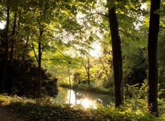 Fonds d'cran Nature une lumire divine luit sur le lac