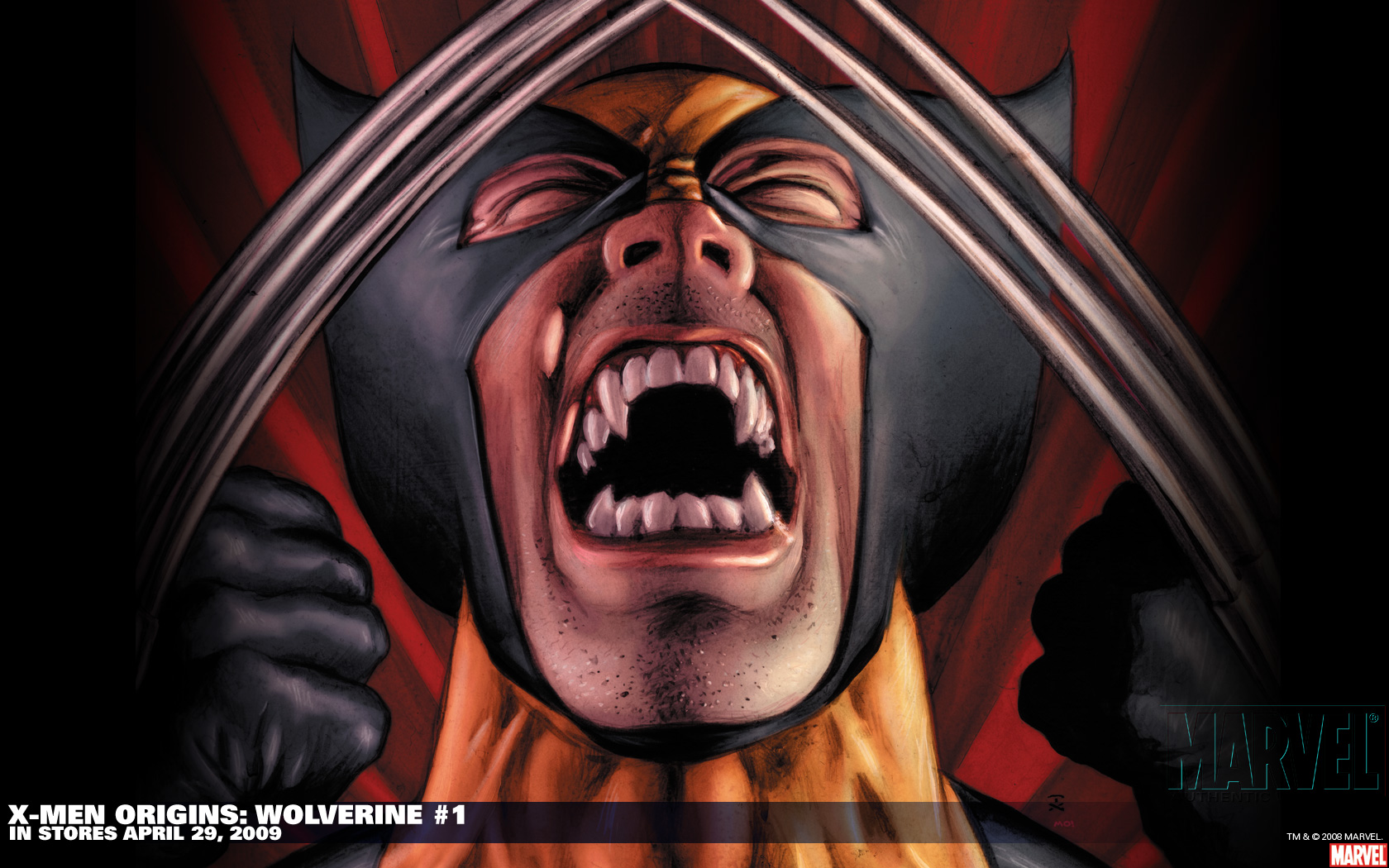 Fonds d'cran Comics et BDs Wolverine wolverine