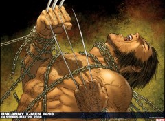 Fonds d'cran Comics et BDs wolverine