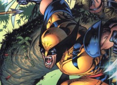 Fonds d'cran Comics et BDs wolverine