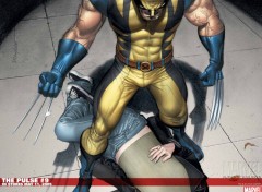 Fonds d'cran Comics et BDs wolverine