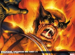 Fonds d'cran Comics et BDs wolverine