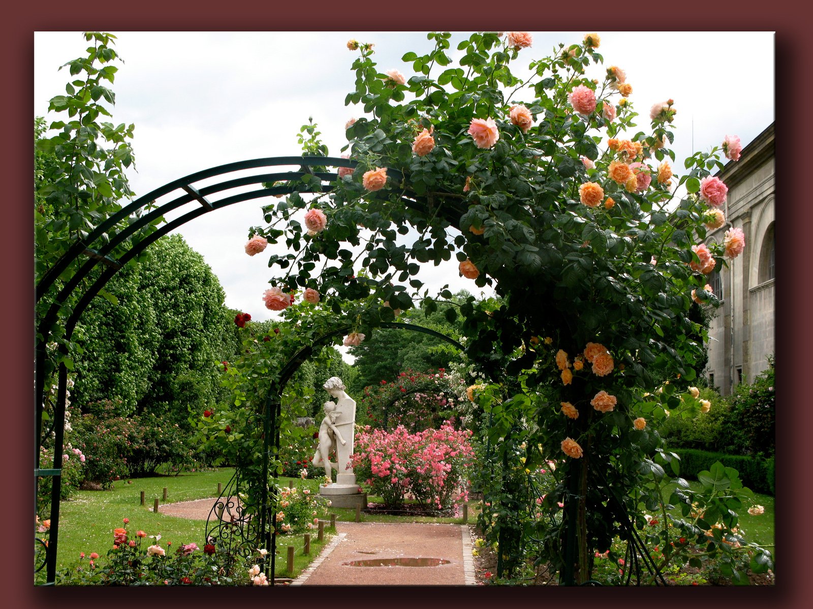 Fonds d'cran Nature Parcs - Jardins jardin des plantes