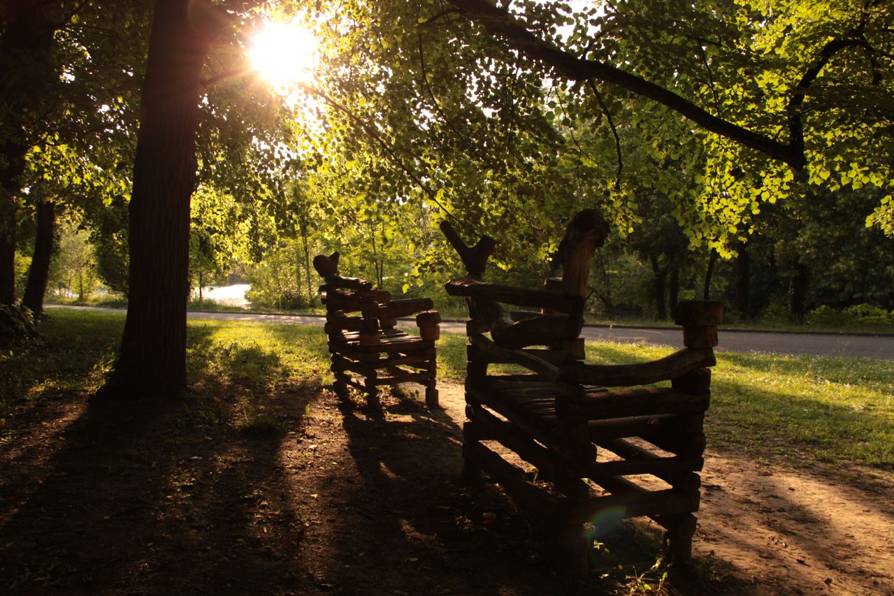 Fonds d'cran Nature Arbres - Forts  l'ombre du soleil