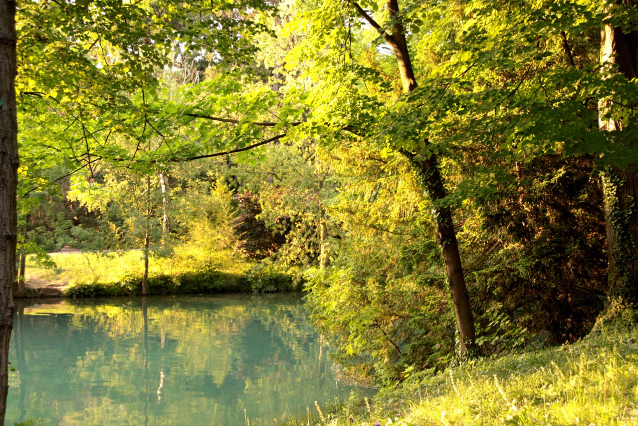 Fonds d'cran Nature Arbres - Forts des merveilles de reflets