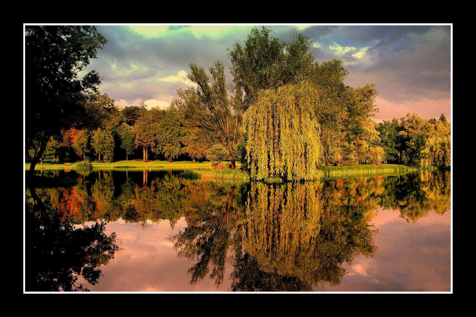 Fonds d'cran Nature Parcs - Jardins Aprs l'orage