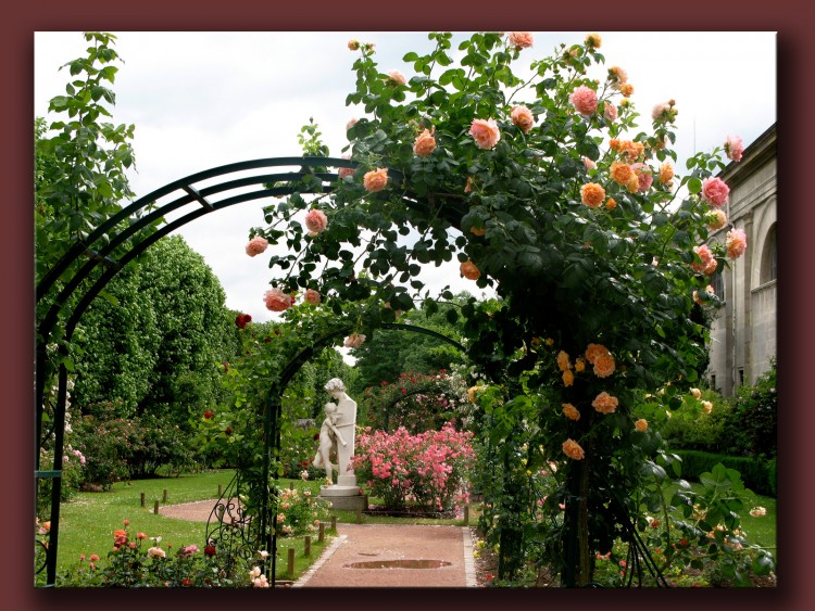 Wallpapers Nature Parks - Gardens jardin des plantes