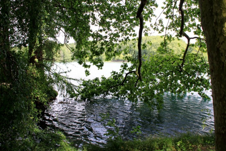 Fonds d'cran Nature Arbres - Forts une petit bain a fait du bien