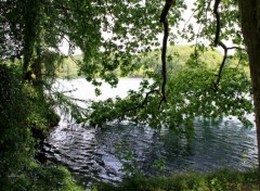 Fonds d'cran Nature une petit bain a fait du bien