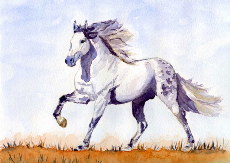 Fonds d'cran Art - Crayon Animaux - Chevaux Wallpaper N236414