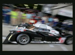 Fonds d'cran Jeux Vido Victoire de Peugeot aux 24 h00 du mans