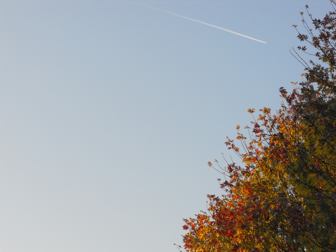 Wallpapers Nature Skies - Clouds 