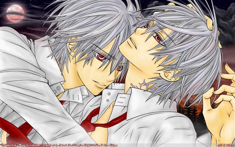 Fonds d'cran Manga Vampire Knight ichiru et zero