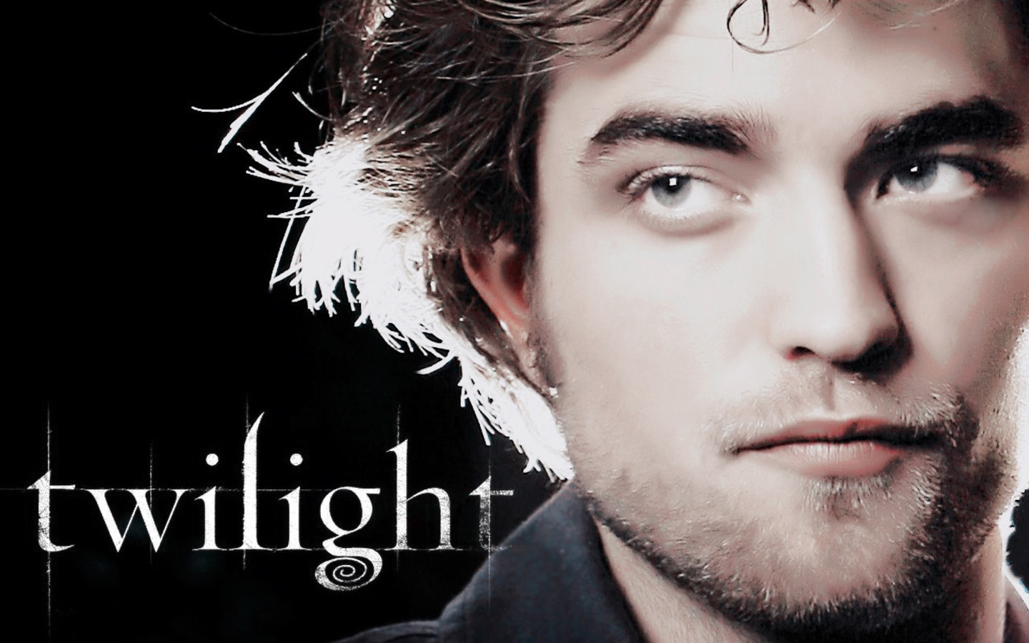 Fonds d'cran Cinma Twilight - Chapitre 1 : Fascination 