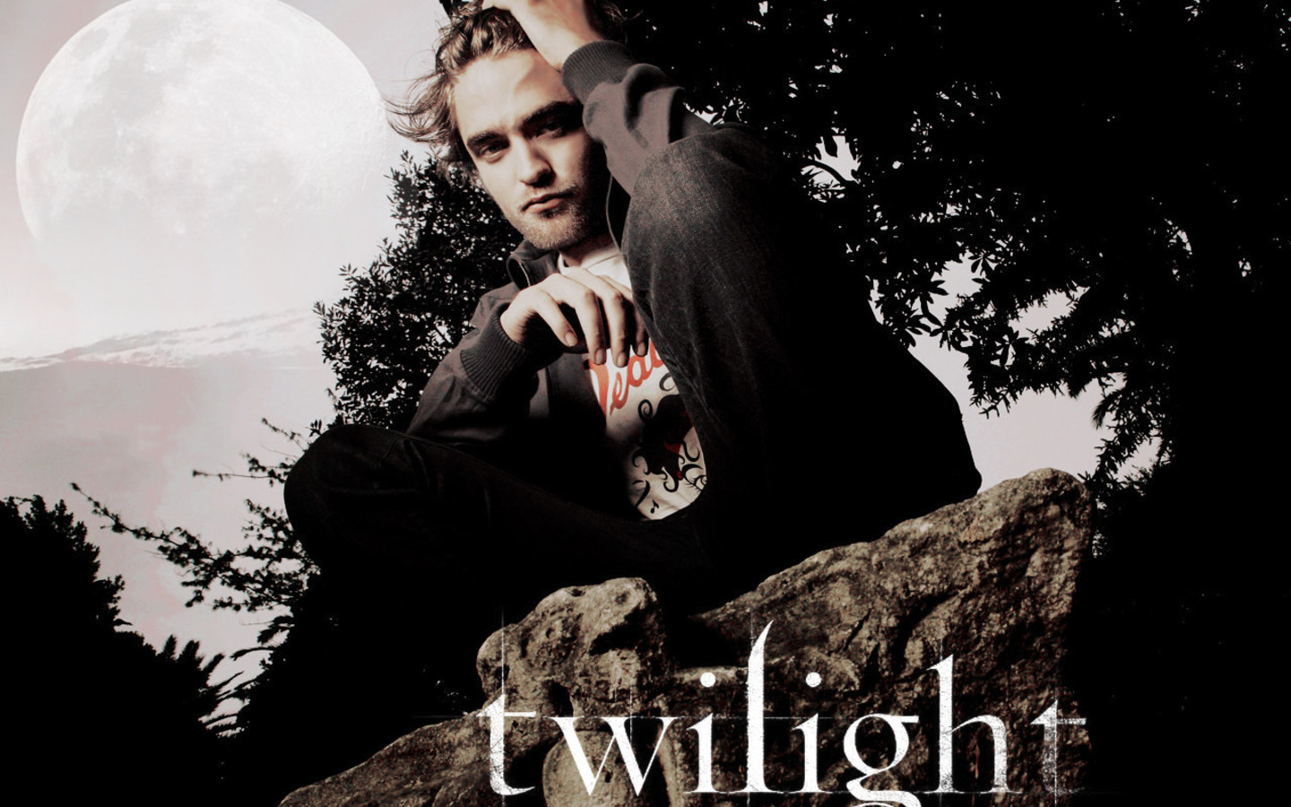 Fonds d'cran Cinma Twilight - Chapitre 1 : Fascination 