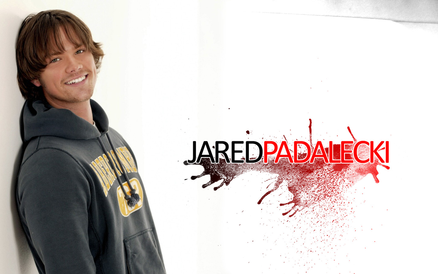 Fonds d'cran Clbrits Homme Jared Padalecki 