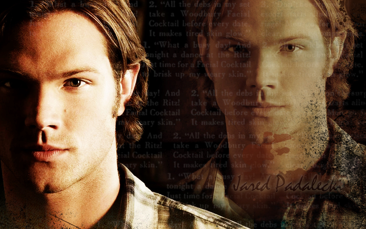 Wallpapers Celebrities Men Jared Padalecki 