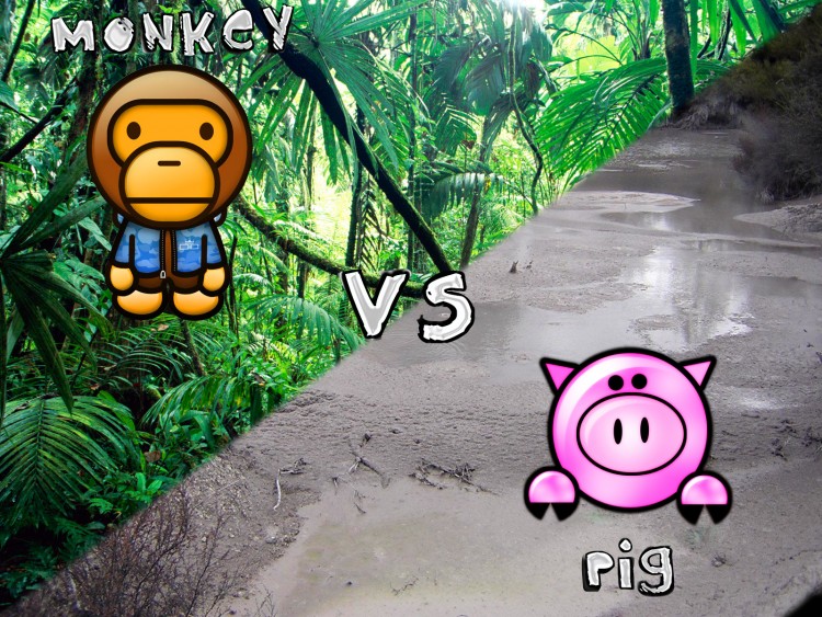 Wallpapers Humor Animals Monkey vs. Pig