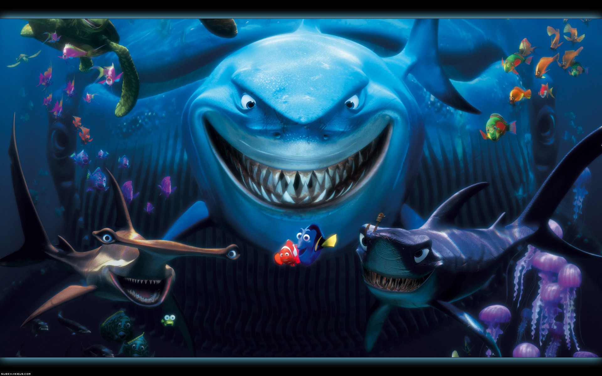 Wallpapers Cartoons Finding Nemo Nmo