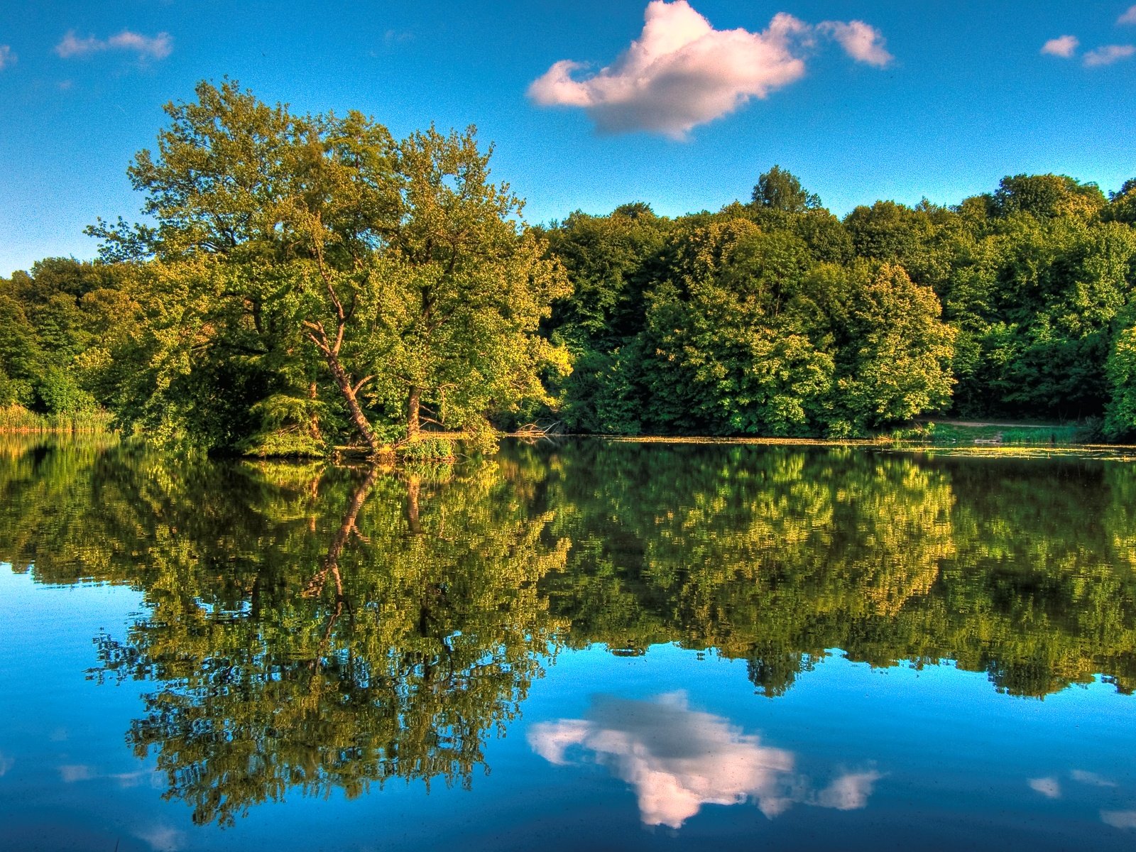 Wallpapers Nature Water - Reflection 