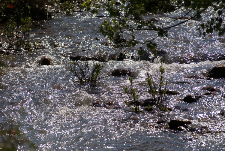 Wallpapers Nature Rivers - Torrents Inondation naturelle 2